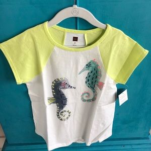 Seahorse raglan tunic